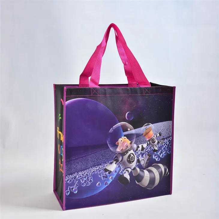 Будгет Схоппер Тоте торба од нетканог материјала